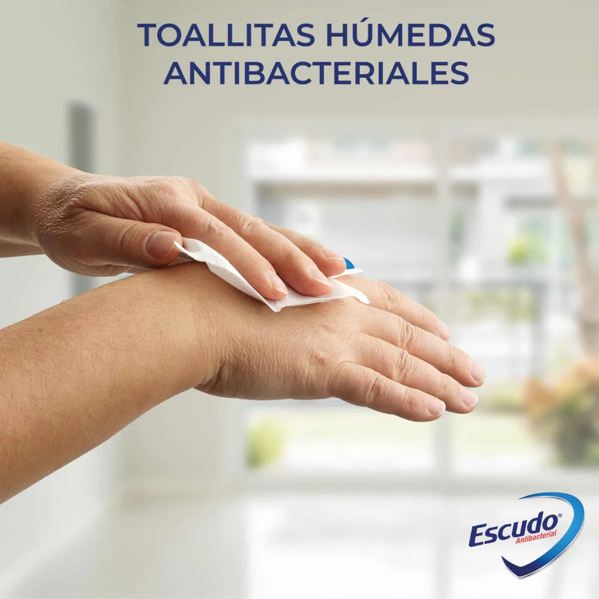 10 paquetes Toallas húmedas Escudo Toallita húmeda en bolsa 50 unidades