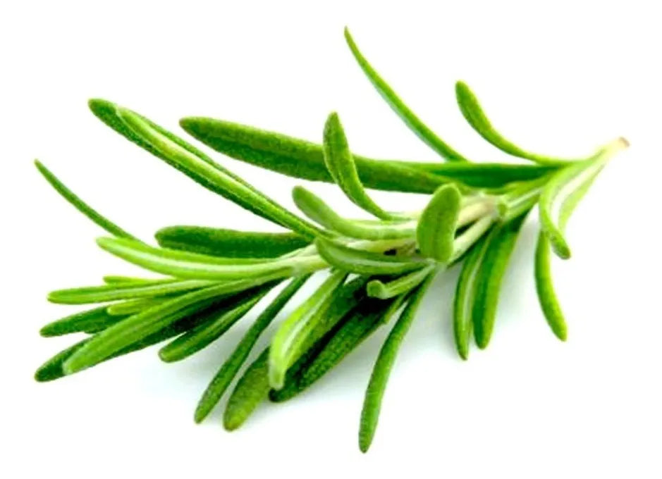 Hojas De Romero Fresco, 250 Gr.