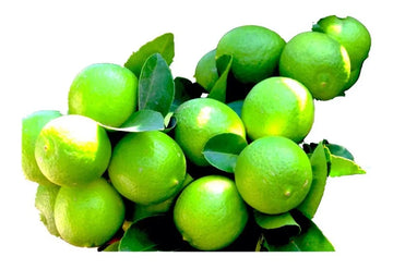 Limón Criollo 1 Kg.