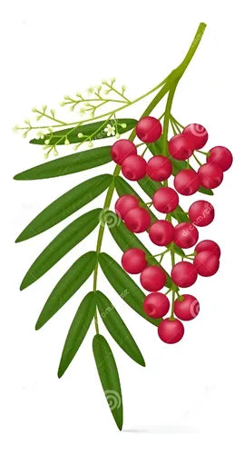 Hojas De Pirul Fresco 1 Kg Natural