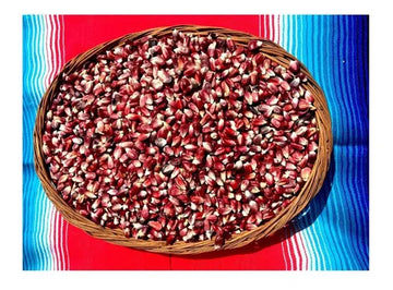 1 kg. red corn seed